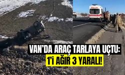 Van'da son dakika! Araç tarlaya uçtu: Yaralılar var...