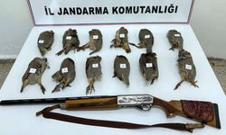 Van’da kaçak avcılığa 81 bin TL ceza!