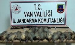 Van’da kaçak avcılığa 87 bin TL ceza