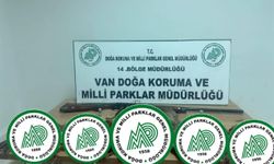 Van'da kaçak avcıya ağır fatura: 17 keklik için 87 bin TL ceza