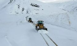 Van’da kapalı yol sayısı açıklandı