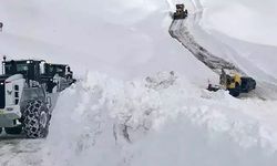 Van’da kar alarmı: Hangi ilçelerde yollar kapandı?