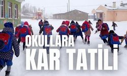 Van'da kar nedeniyle birçok ilçede okullar tatil edildi