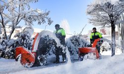 Van’da kar temizleme mesaisi