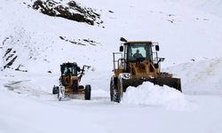 Van’da karla mücadele sürüyor! Çok sayıda yerleşim yeri yolu kapalı