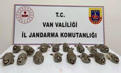Van’da keklik avcılarına ceza yağdı