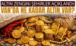 Van’da ne kadar altın var?