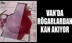 Van’da rögarlardan kan akıyor
