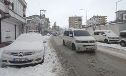 Van'da kar yağışı...