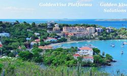 52.000 Bekleyen Dosya Arasında Zaman Yönetimi: Hızlı Onay Stratejileri