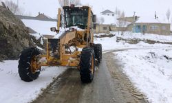 Van’da 216 yerleşim yerine ulaşım sağlanamıyor