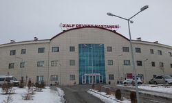 DEM Parti Özalp İlçe Eşbaşkanı İnci Diker hayatını kaybetti