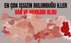 En çok işsizin bulunduğu iller Van ve Hakkari oldu