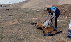 İpekyolu’nda sokak hayvanlarına mama desteği