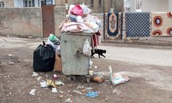 İpekyolu’nda sokaklar çöp içinde