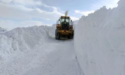 Van genelinde kapalı yol sayısı açıklandı