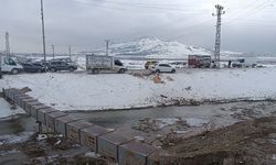 Van Hayvan Pazarında kaçak kesim denetimi