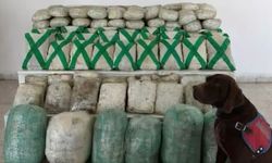 Van ve Hakkari’de dev operasyon