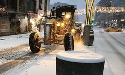 Van’da 143 yerleşim yeri yolu kapandı! Karla mücadele sürüyor