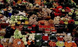 Van'da 17 Mart Hal Fiyatları: Meyve ve Sebze Fiyatları Ne Kadar?