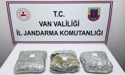 Van’da 4 kilo skunk ele geçirildi
