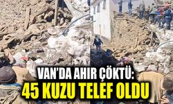Van’da ahır çöktü: 45 kuzu telef oldu