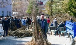 Van’da çiftçilere %90 hibeli meyve fidanı desteği