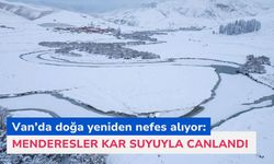 Van’da doğa yeniden nefes alıyor: Menderesler kar suyuyla canlandı
