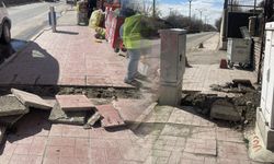 Van’da İskele Caddesi’nin durumu tepki çekiyor