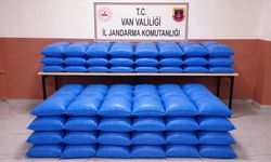 Van’da kaçak gıda operasyonu: 3 Milyon TL değerinde ürün ele geçirildi