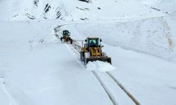 Van’da kar nedeniyle 59 yerleşim yerinin yolu kapalı