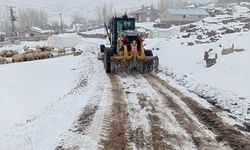 Van’da karla mücadele devam ediyor! 10 yerleşim yerinin yolu kapalı