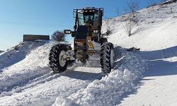 Van’da karla mücadele sürüyor: 34 yerleşim yerinin yolu kapalı