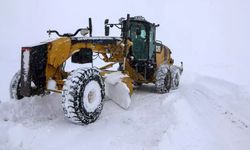 Van’da karla mücadele sürüyor: 40 yerleşim yerinin yolu kapalı