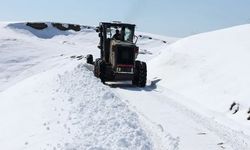 Van’da karla mücadele sürüyor: 42 yerleşim yerinin yolu kapalı