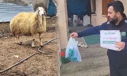 Van'da kesilen adak kurbanları ihtiyaç sahiplerine ulaştırıldı