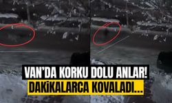 Van’da korku dolu anlar! Dakikalarca kovaladı…