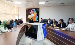 Van’da koruyucu sağlık ve normal doğum masaya yatırıldı