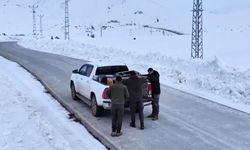 Van’da yasa dışı avcılardan kurtarılan kınalı keklikler doğaya salındı