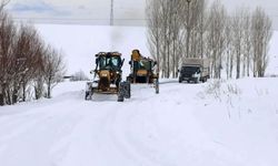 Van’da yolu kapalı bulunan yerleşim yeri sayısı belli oldu