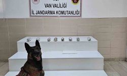 Van’da1 kilo 256 gram Kubar Esrar Ele Geçirildi