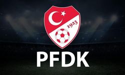 Vanspor’a yine PFDK yolu gözüktü
