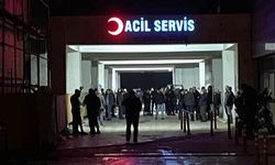 Araziye döşenen mayın patladı: İki kardeş yaralandı!