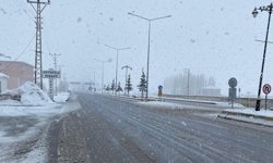 Çaldıran güne kar yağışıyla uyandı!