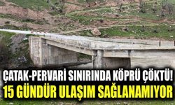 Çatak-Pervari sınırında köprü çöktü! 15 gündür ulaşım sağlanamıyor