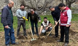 Çatak’ta binlerce fidan toprakla buluştu