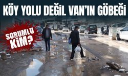 Köy yolu değil Van’ın göbeği