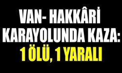 Son Dakika! Van- Hakkari karayolunda kaza: 1 ölü, 1 yaralı