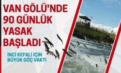 Van Gölü'nde 90 günlük yasak başladı: Büyük göç vakti