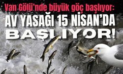 Van Gölü’nde büyük göç başlıyor: Av yasağı 15 Nisan’da başlıyor!